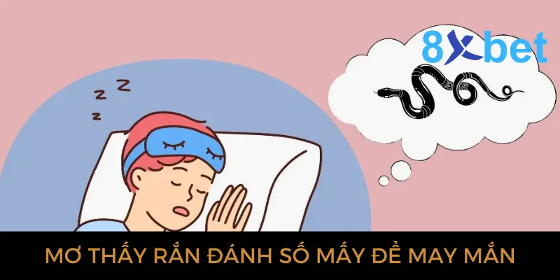 Giải mã giấc mơ thấy rắn: Bí ẩn và điềm báo gì? Mơ thấy rắn đánh số mấy để may mắn